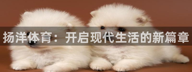 betway西汉姆：扬洋体育：开启现代生活的新篇章