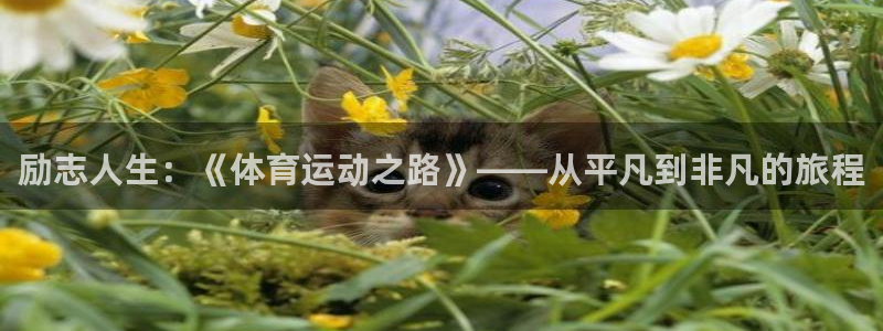 必威betway西汉姆联：励志人生：《体育运动之路》——从平凡到非凡的旅程
