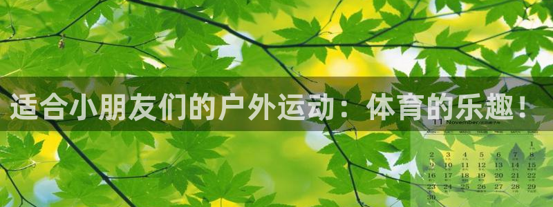 betway西汉姆联官网：适合小朋友们的户外运动：体育的乐趣！