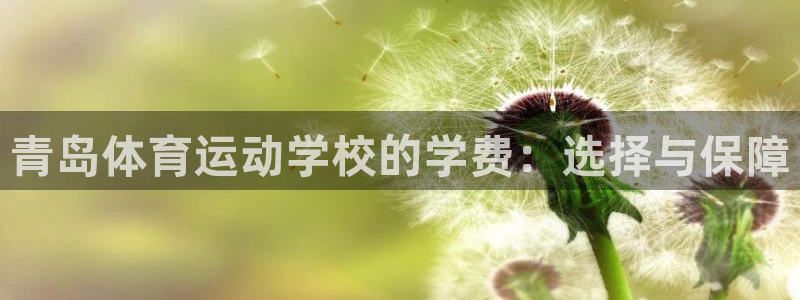 betway西汉姆联官网：青岛体育运动学校的学费：选择与保障