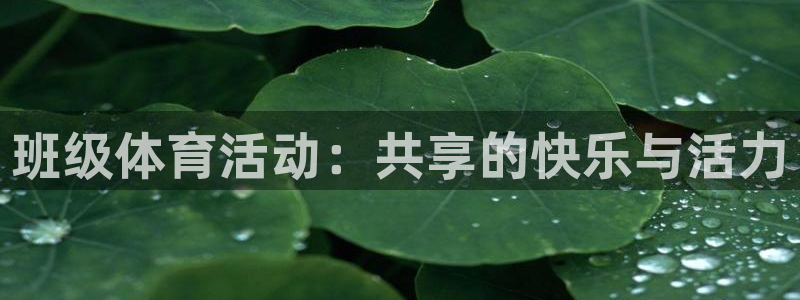 betway西汉姆：班级体育活动：共享的快乐与活力