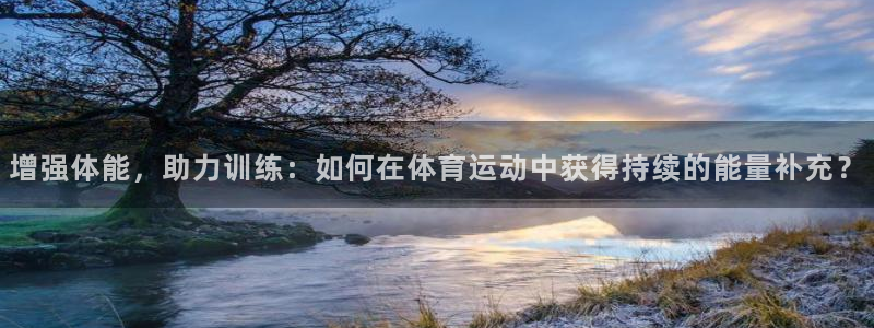 betway西汉姆联：增强体能，助力训练：如何在体育运动中获得持续的能量补充？