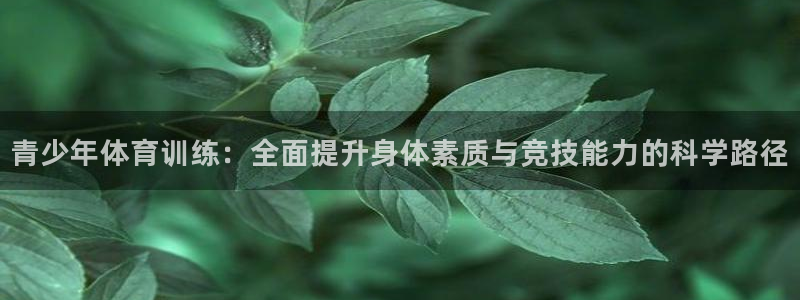 betway西汉姆联官网：青少年体育训练：全面提升身体素质与竞技能力的科学路径