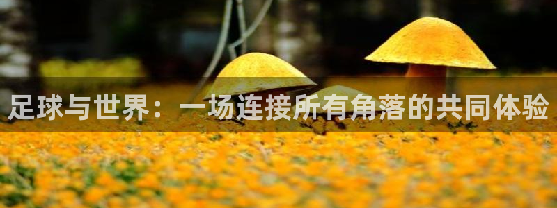 betway西汉姆：足球与世界：一场连接所有角落的共同体验
