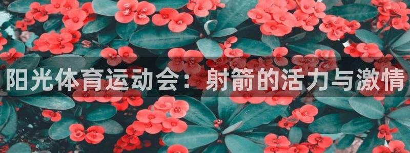 必威betway西汉姆联：阳光体育运动会：射箭的活力与激情