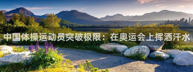 betway西汉姆：中国体操运动员突破极限：在奥运会上挥洒汗水
