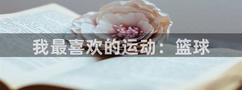 betway西汉姆联官网：我最喜欢的运动：篮球